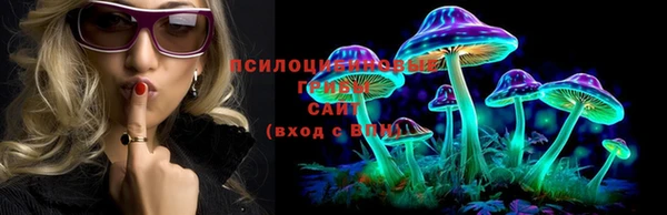 спайс Пересвет