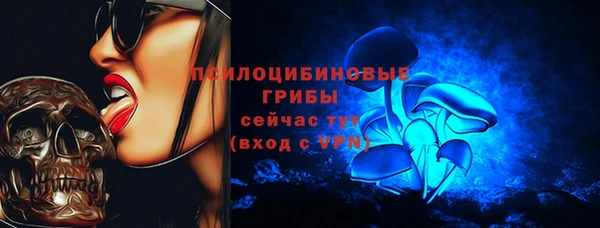 ALPHA PVP Покровск
