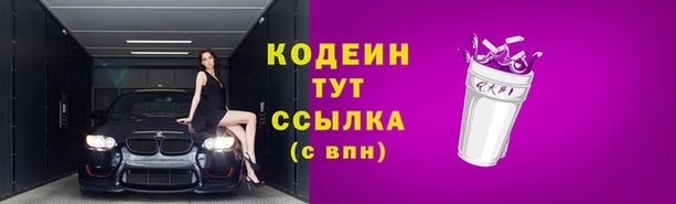 дживик Вязьма