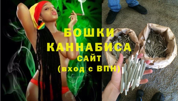дживик Вязьма