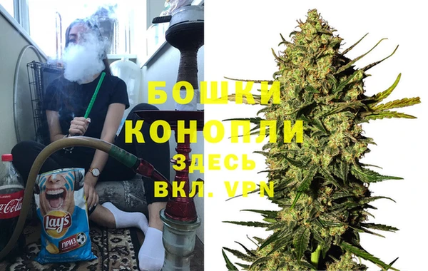 дживик Вязьма