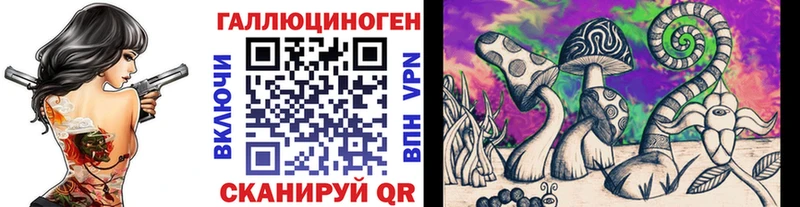 Галлюциногенные грибы Psilocybe  blacksprut маркетплейс  Новочеркасск  купить  цена 